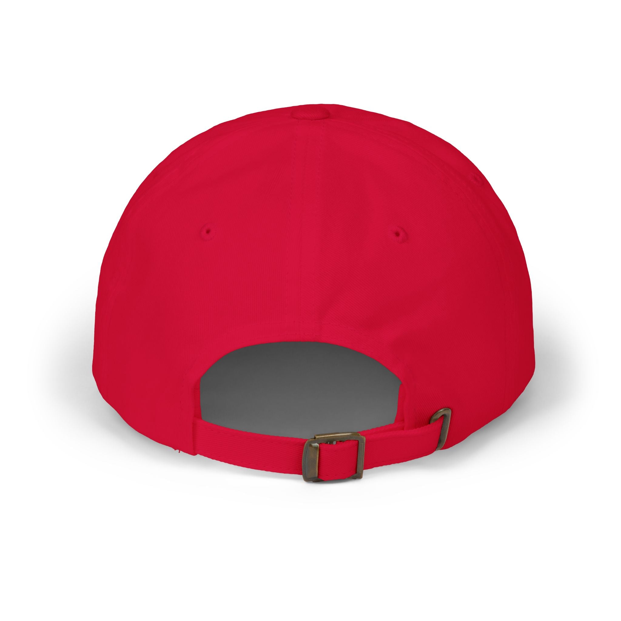 I Stand for Anyone Everywhere Dad Hat