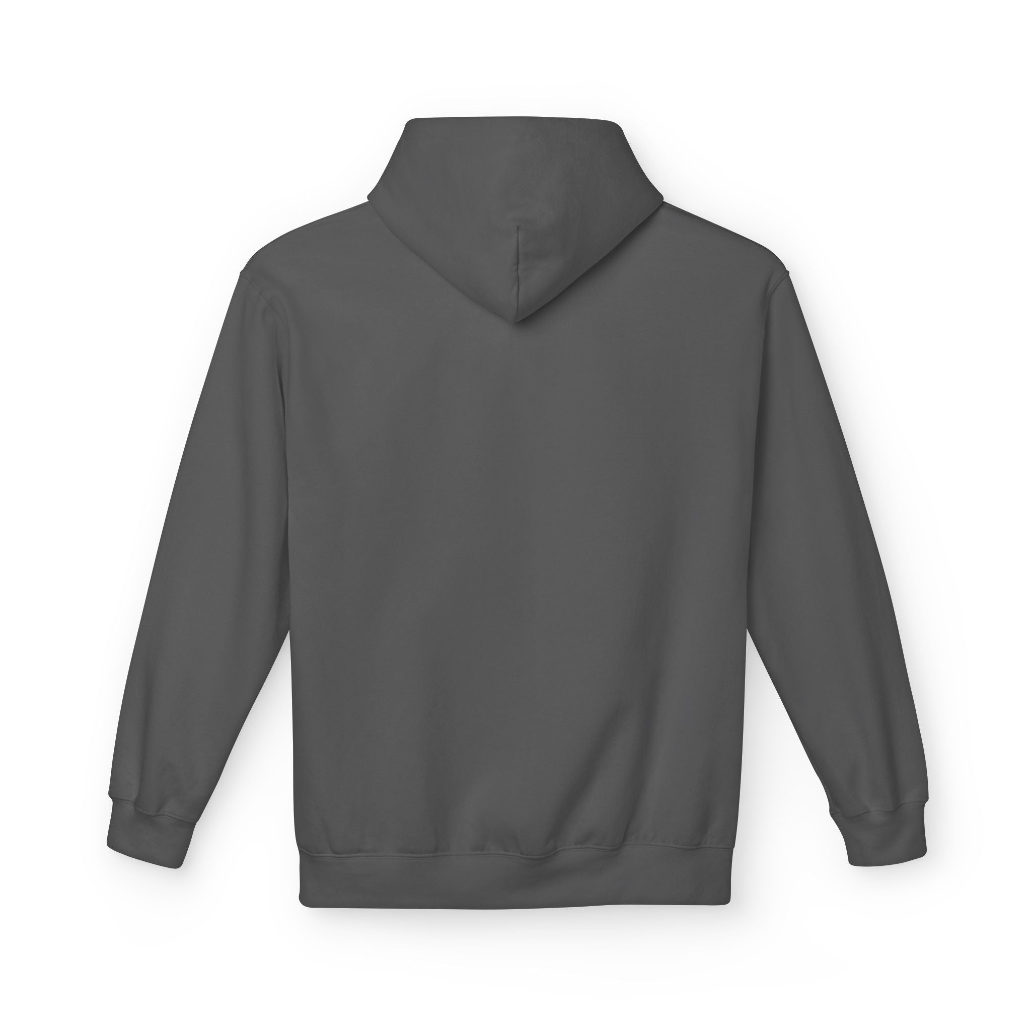 History Forgotten is History Repeated Hoodie